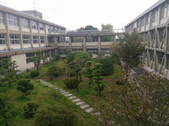 1385428_471846862932699_1725298671_n