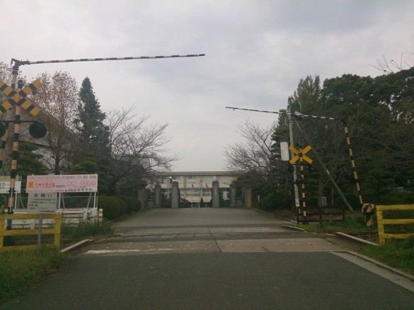 1455922_471846896266029_584179968_n